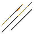 Victory VForce 245 Elite V1 Fletched Arrows (6 Pack)