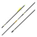 Gold Tip Pierce Fletched Arrows