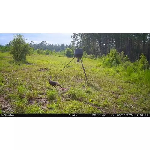 WiseEye Mini MC-2 Cellular Trail Camera